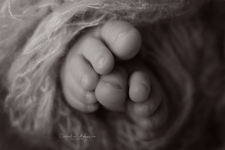 Neugeborenenfotografie Neugeborenenfotos Newbornportraits Newbornshoot Newborn Baby Photographer Babyshoot Babyfotografie Portrait Familie Cornelia Moebes Photography