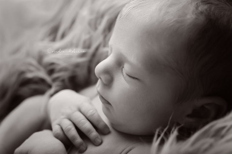 Babygirl Neugeborenenfotografie Neugeborenenfotos Newbornportraits Newbornshoot Newborn Baby Photographer Babyshoot Babyfotografie Portrait Familie Cornelia Moebes Photography