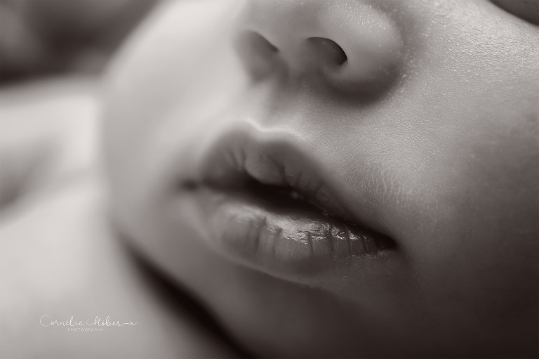 Neugeborenenfotografie Neugeborenenfotos Newbornportraits Newbornshoot Newborn Baby Photographer Babyshoot Babyfotografie Portrait Familie Cornelia Moebes Photography