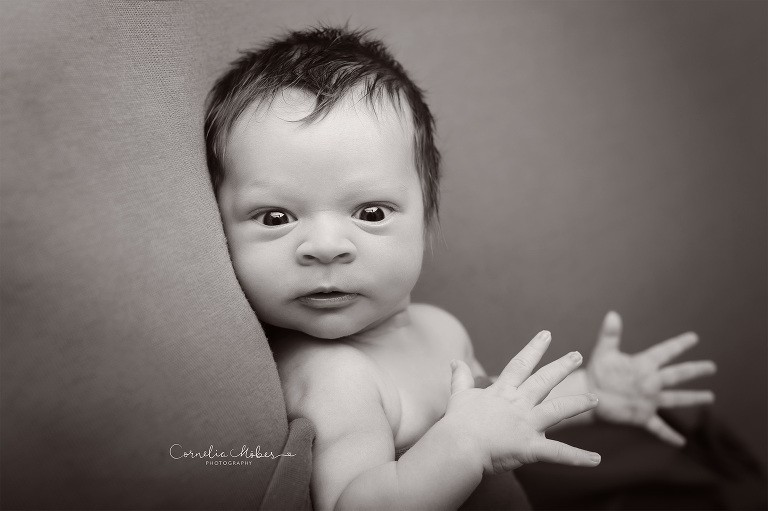 Neugeborenenfotografie Neugeborenenfotos Newbornportraits Newbornshoot Newborn Baby Photographer Babyshoot Babyfotografie Portrait Familie Cornelia Moebes Photography