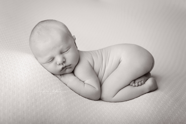 Neugeborenenfotografie Neugeborenenfotos Newbornportraits Newbornshoot Newborn Baby Photographer Babyshoot Babyfotografie Portrait Familie Cornelia Moebes Photography