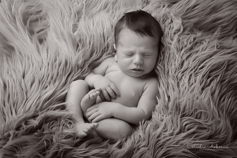 Neugeborenenfotografie Neugeborenenfotos Newbornportraits Newbornshoot Newborn Baby Photographer Babyshoot Babyfotografie Portrait Familie Cornelia Moebes Photography