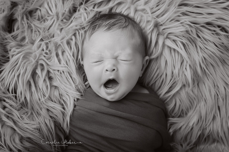 Neugeborenenfotografie Neugeborenenfotos Newbornportraits Newbornshoot Newborn Baby Photographer Babyshoot Babyfotografie Portrait Familie Cornelia Moebes Photography