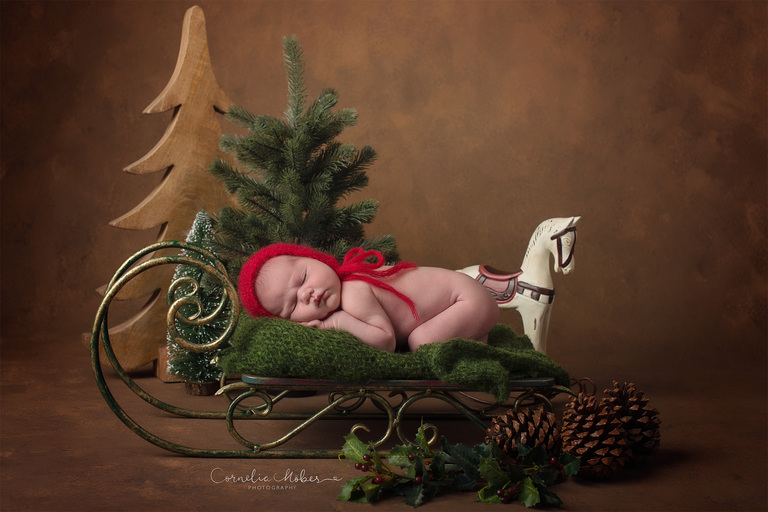 Neugeborenenfotografie Neugeborenenfotos Newbornportraits Newbornshoot Newborn Baby Photographer Babyshoot Babyfotografie Portrait Familie Cornelia Moebes Photography