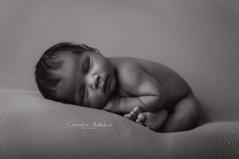 Familienportrait Family Photographer Zug Zürich Neugeborenenfotografie Neugeborenenfotos Newbornportraits Newbornshoot Newborn Baby Photographer Babyshoot Babyfotografie Portrait Familie Cornelia Moebes Photography