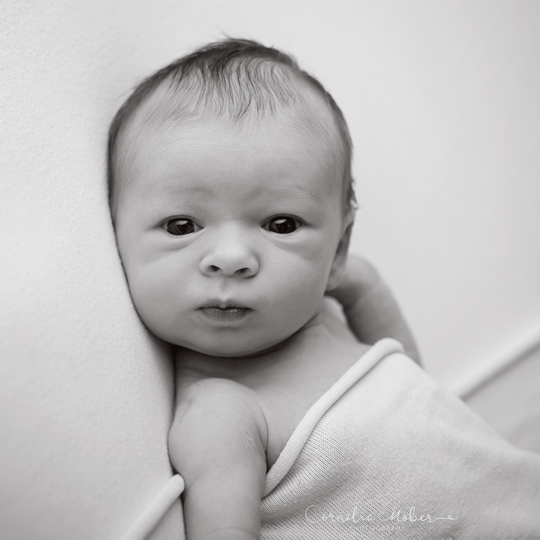 Neugeborenenfotografie Neugeborenenfotos Newbornportraits Newbornshoot Newborn Baby Photographer Babyshoot Babyfotografie Portrait Familie Cornelia Moebes Photography