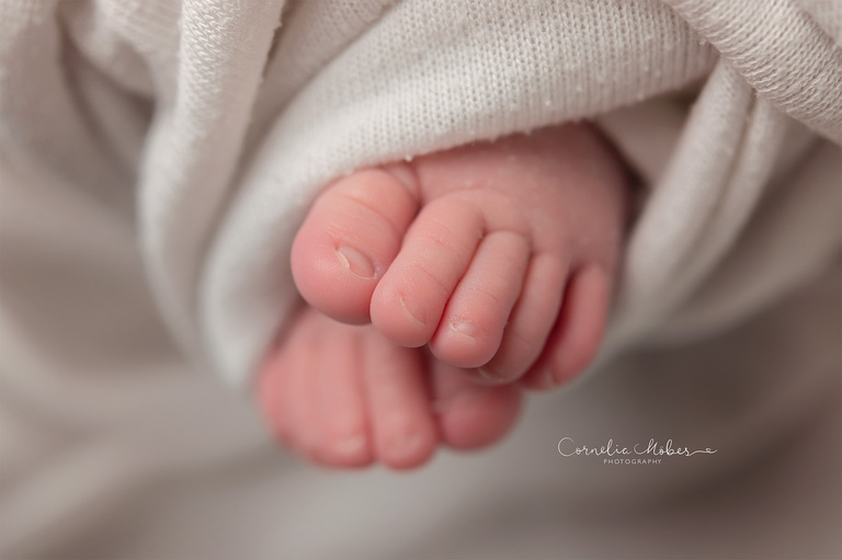 Familienportrait Family Photographer Zug Zürich Neugeborenenfotografie Neugeborenenfotos Newbornportraits Newbornshoot Newborn Baby Photographer Babyshoot Babyfotografie Portrait Familie Cornelia Moebes Photography